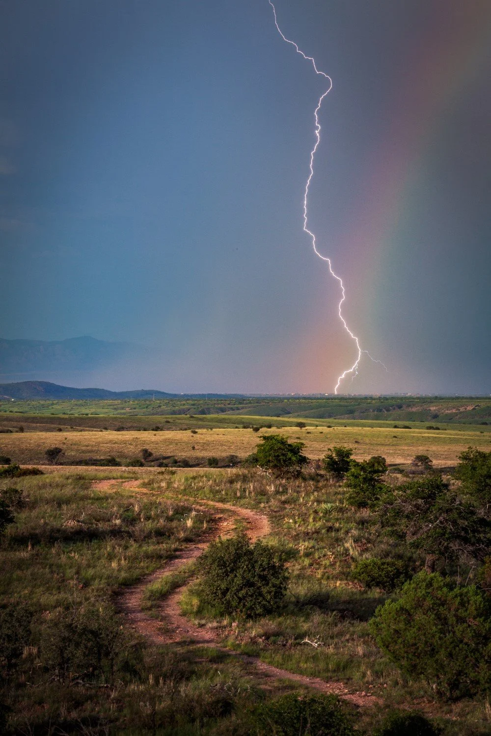 Lightning strikes in a dark sky over open grassy plains with scattered bushes and trees, with mountains in the background.