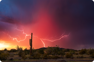 Lightning storm over desert landscape with cacti during sunset