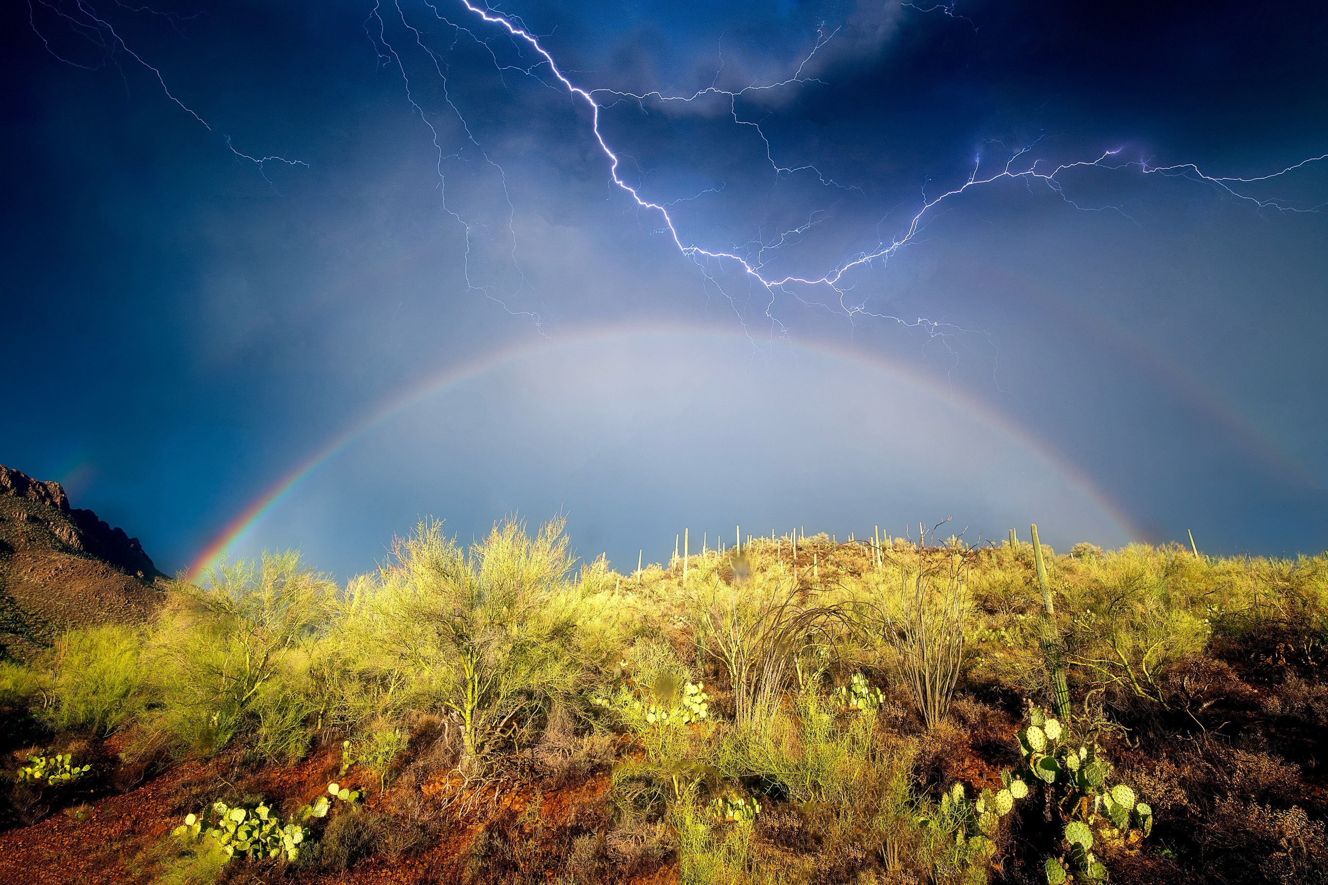 Lightning above a rainbow and desert vegetation