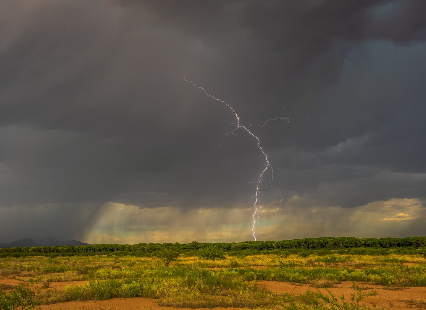 A lightning bolt beneath dark desert storm clouds