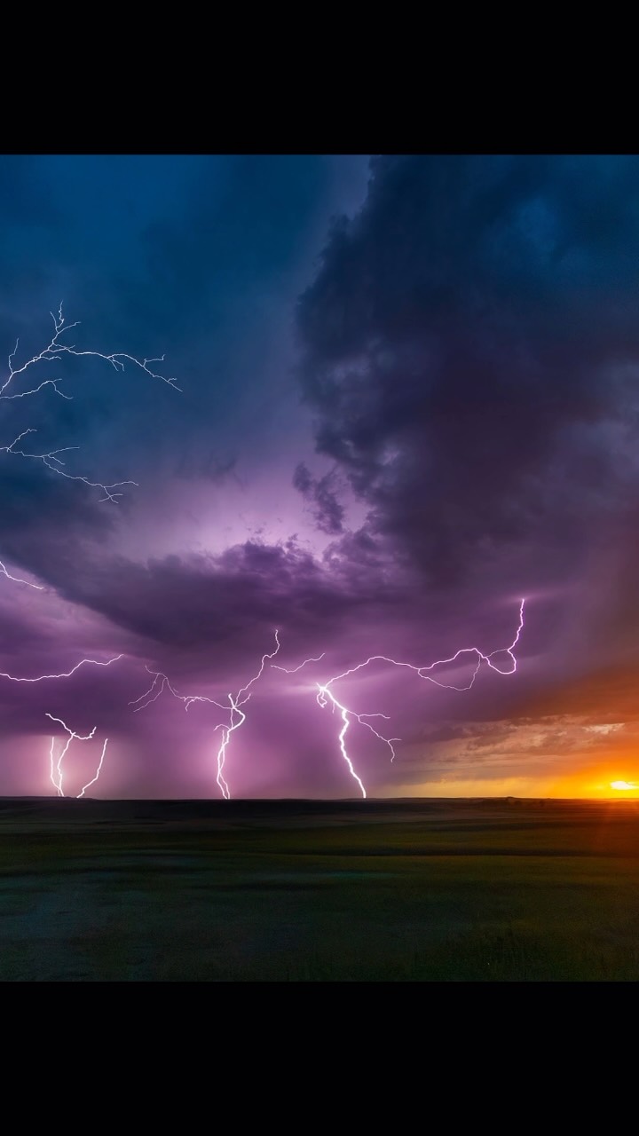 Lightning across a purple and gold sunset sky