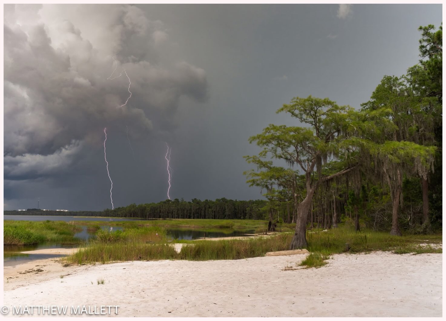 Lightning above a lake and wooded shore