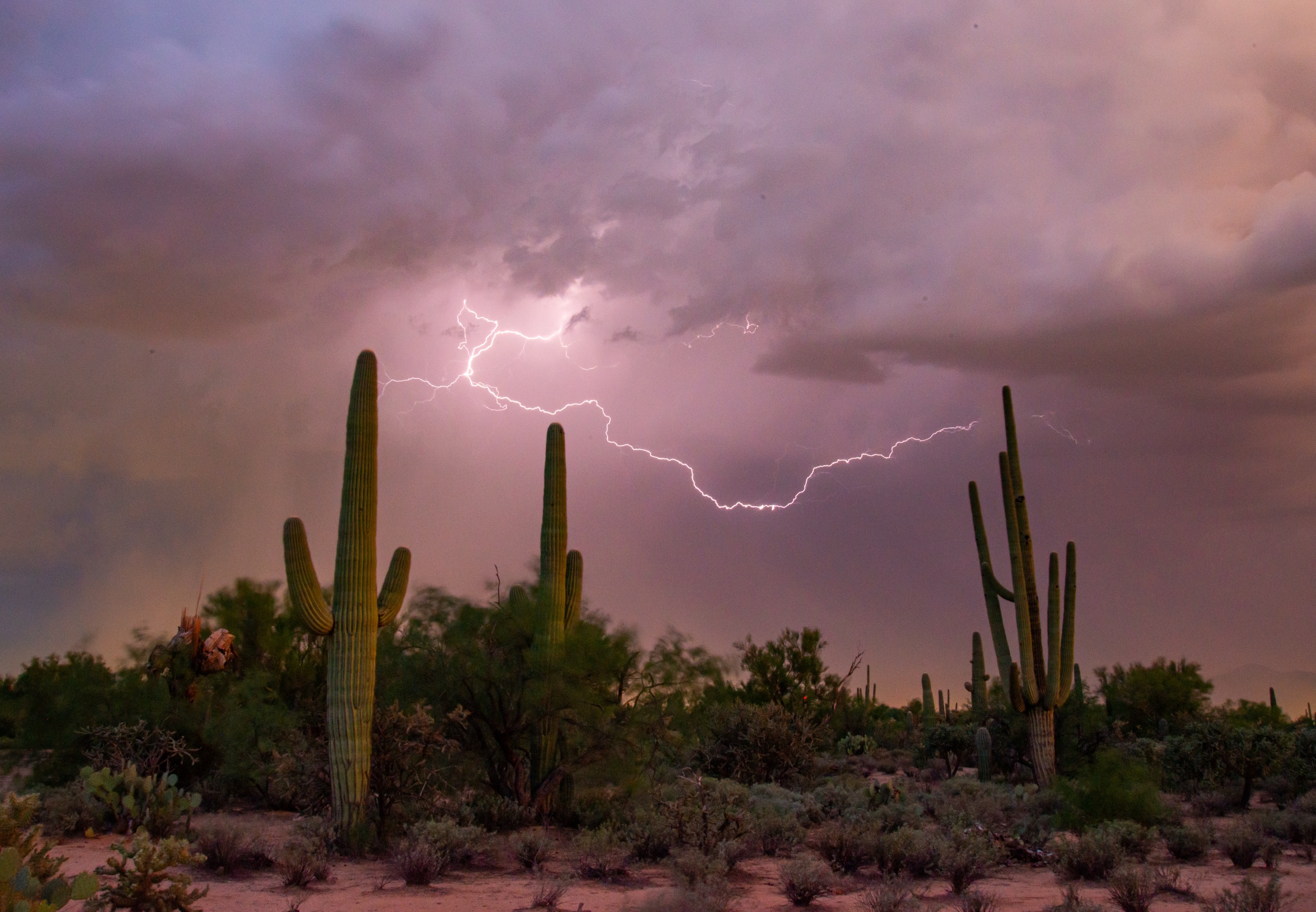 A lightning bolt beneath monsoon clouds