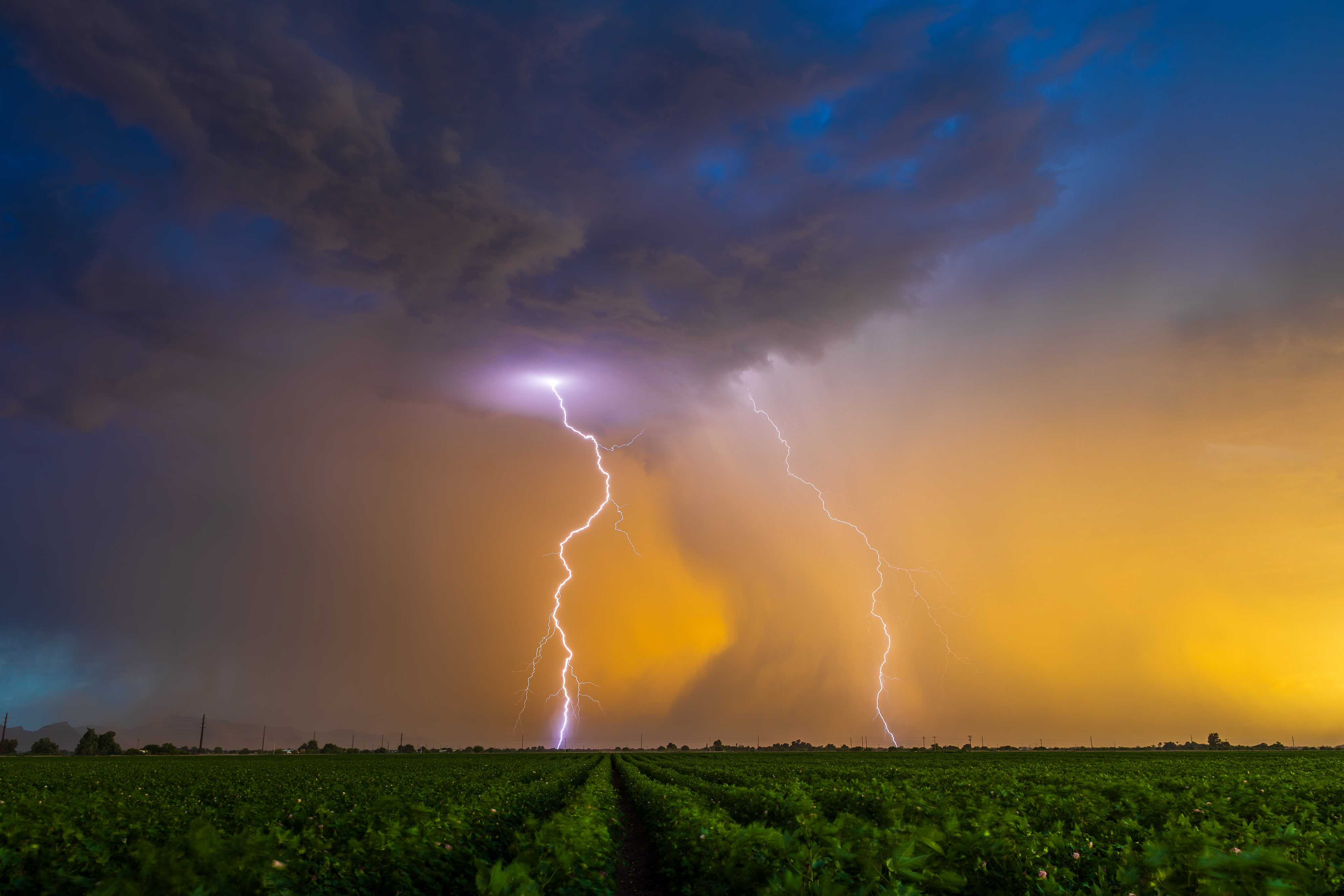 An Arizona lightning bolt at sunset