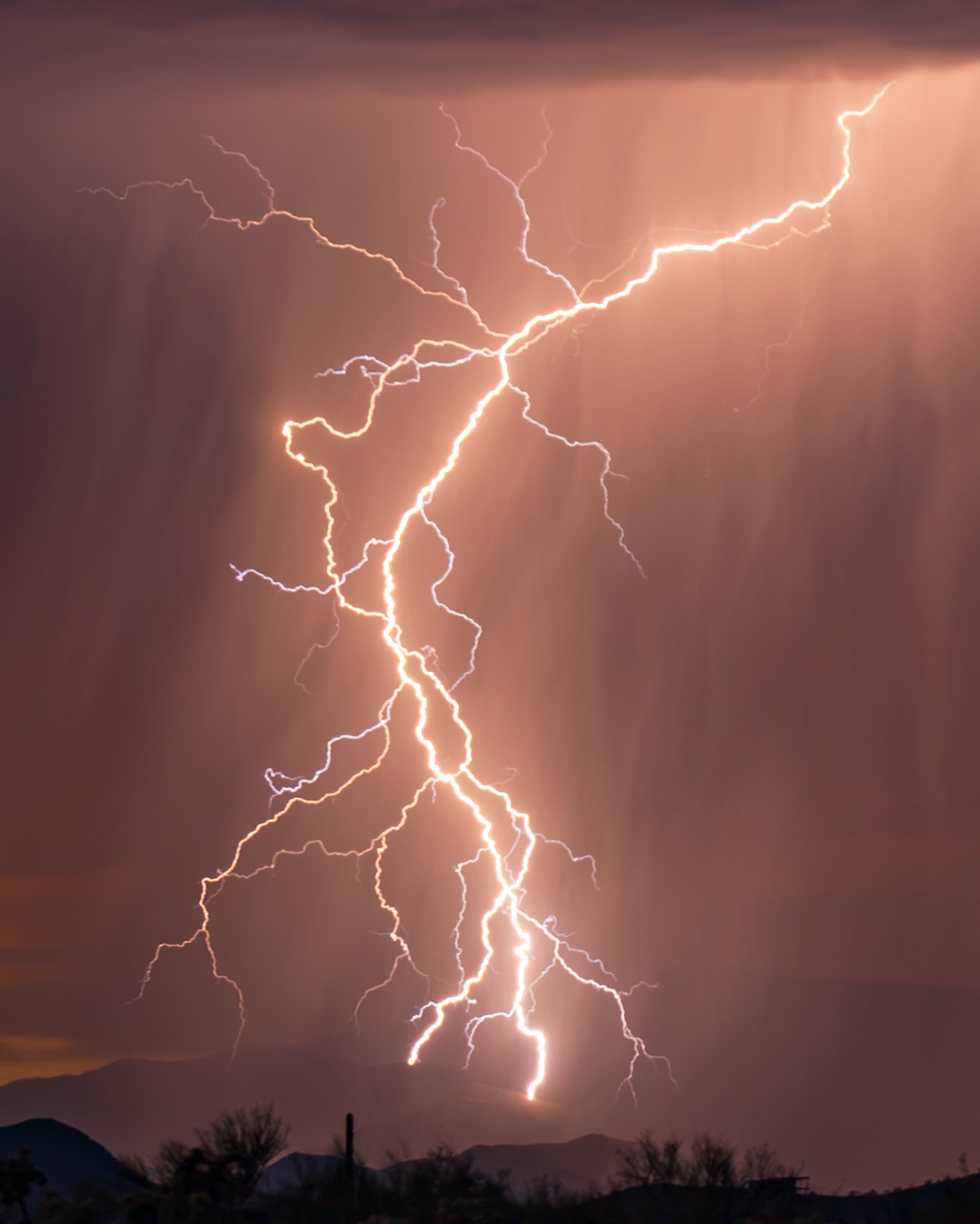 Branching lightning during an Arizona monsoon sunset